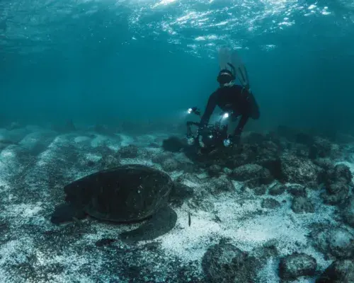 Custom Galápagos Islands tour tailored to travelers’ interests, schedule, and accessibility needs